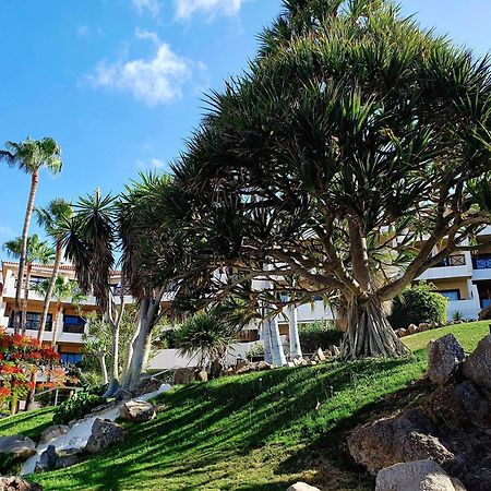 Spacious Apartment With Private Garden In Tenerife South سان ميغيل ذي أبونا المظهر الخارجي الصورة