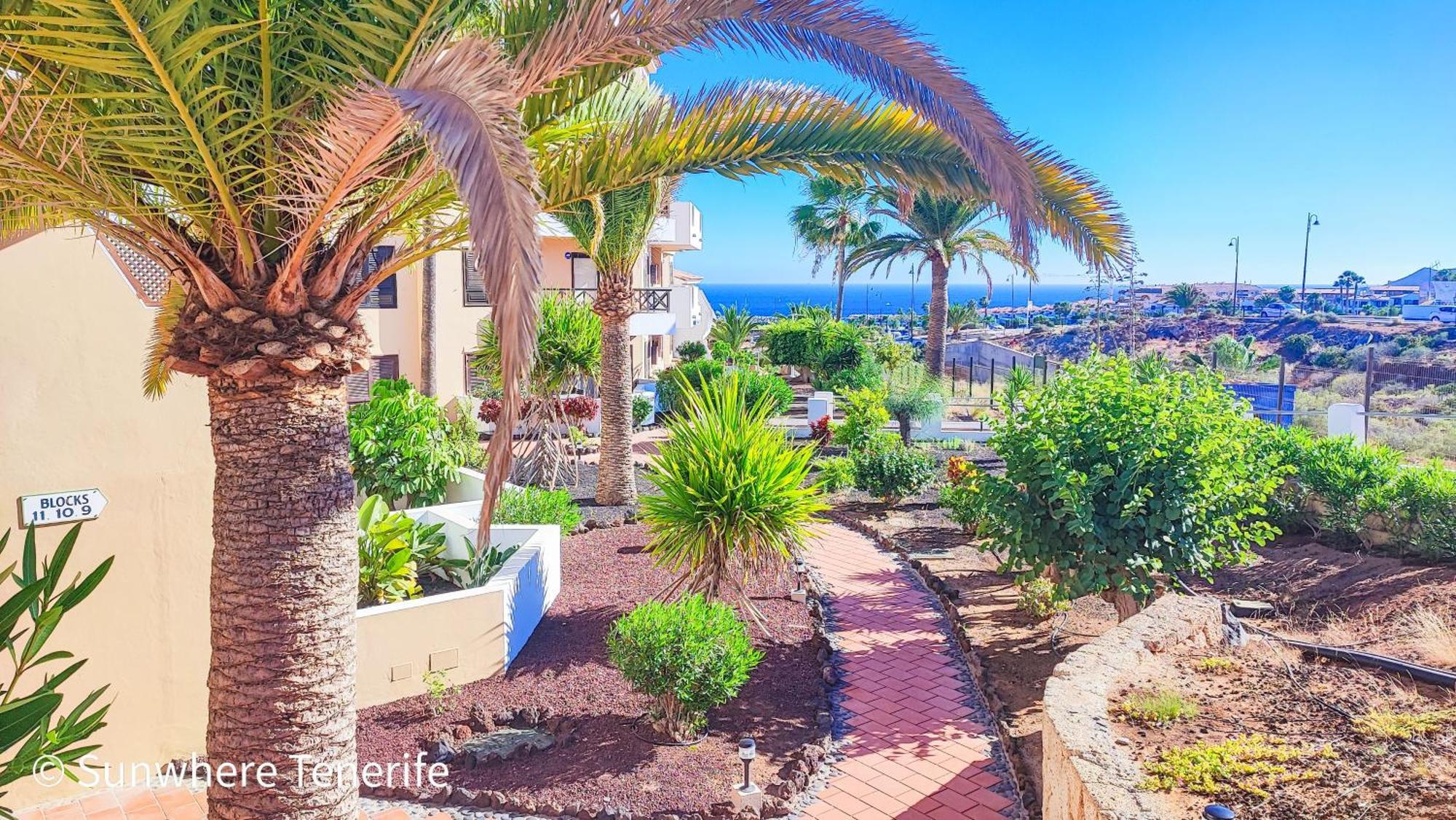 Spacious Apartment With Private Garden In Tenerife South سان ميغيل ذي أبونا المظهر الخارجي الصورة